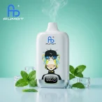 fumot-digital-box-12000-cool-mint