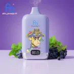 fumot-digital-box-12000-grape-mint