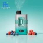 fumot-eco-2in1-50k-blueberry-hubba-bubba-&-watermelon-hubba-bubba