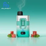 Cool Mint & Watermelon Ice
