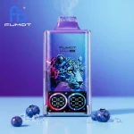 Blueberry on Ice