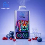 Blueberry Pomegranate Ice