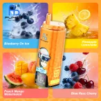 Blueberry On Ice & Pineapple Lemonade & Peach Mango Watermelon & Blue Razz Cherry 01