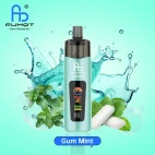 Fumot Altera 14K - Gum Mint1