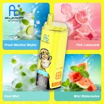 Fresh Menthol Mojito & Pink Lemonade & Cool Mint & Mint Watermelon