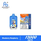 Fumot Digital Box 12000 Blueberry Raspberry new 02