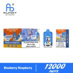 Fumot Digital Box 12000 Blueberry Raspberry new 03