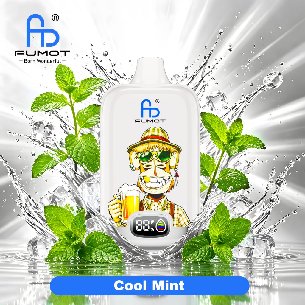 Fumot Digital Box 12000 Cool Mint new 01