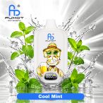 Fumot Digital Box 12000 Cool Mint new 01