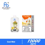 Fumot Digital Box 12000 Cool Mint new 02