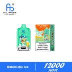 Fumot Digital Box 12000 Watermelon Ice new 02